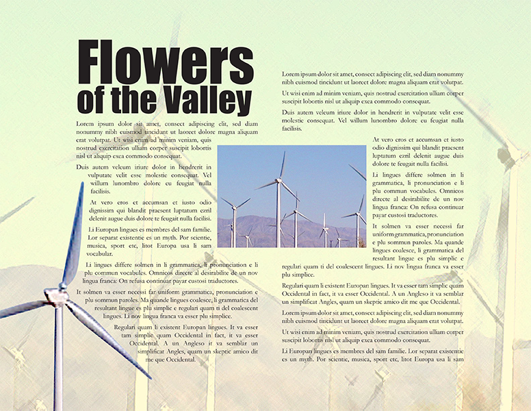 Magazine Article - "Flowers of the Valley"